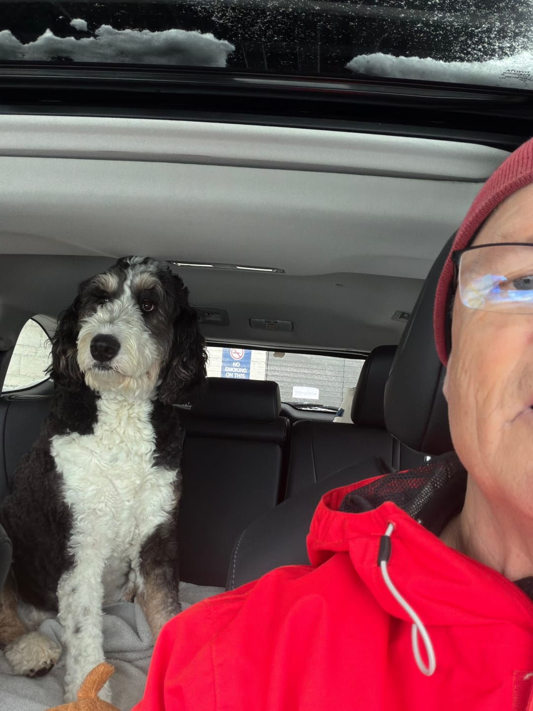 Customer photo review of Himalayan Yak Chew (LARGE)