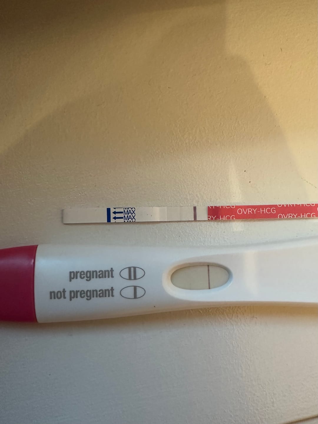 Customer photo review of Pregnancy Test Strips (Ultra-Sensitive)