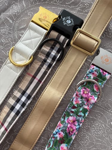Customer photo review of Mystery Box - Dog
