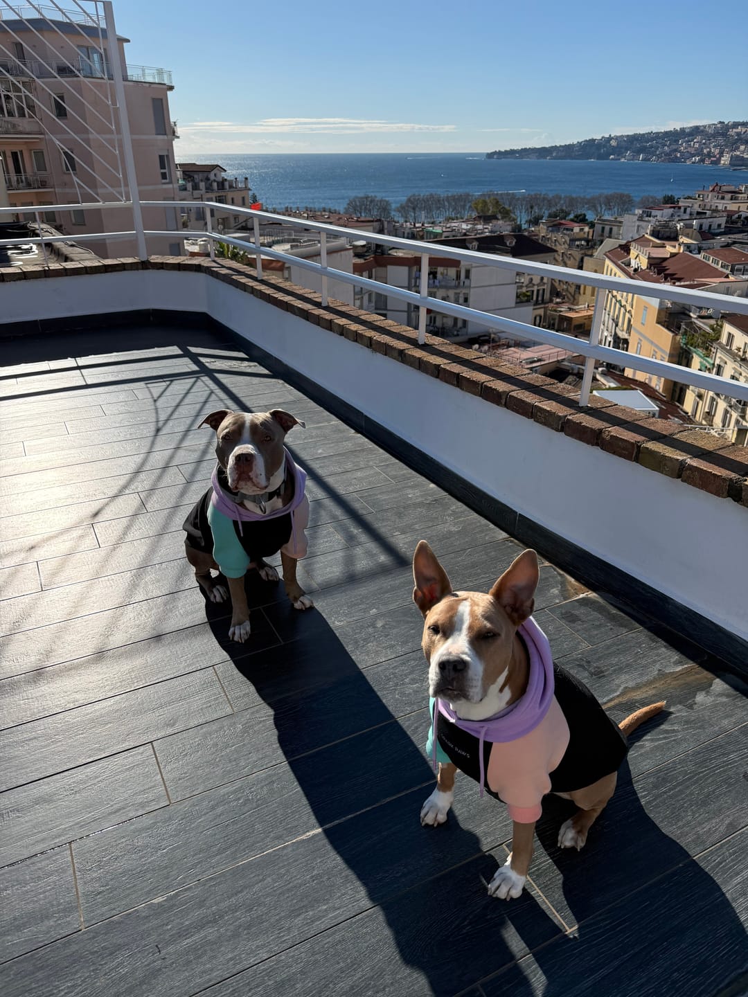 Customer photo review of Cyber Punk Dog Hoodie
