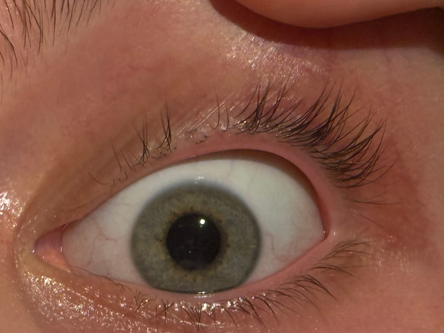 Customer photo review of WIMPERNSERUM