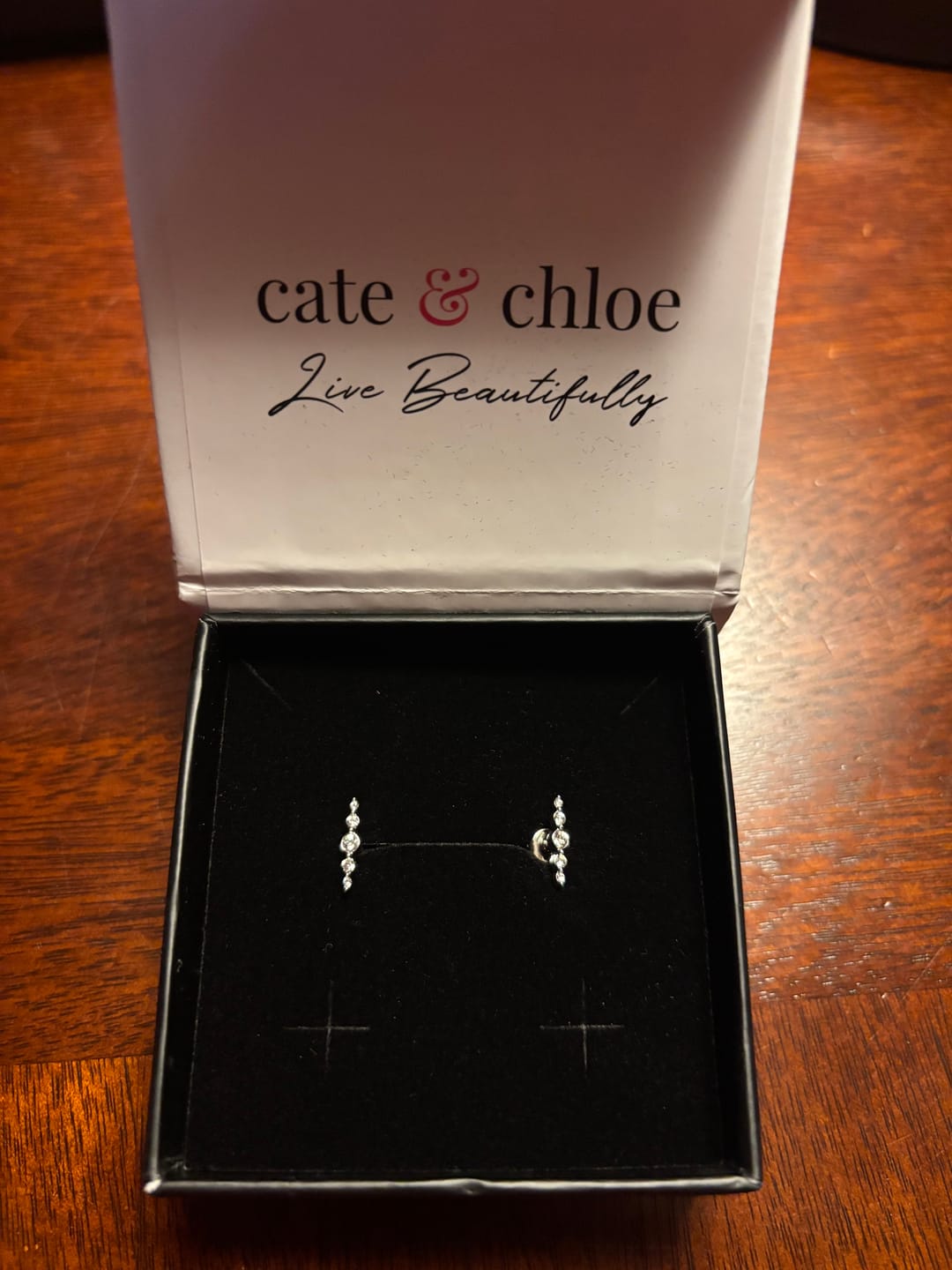 Customer photo review of Theadora 18k White Gold Plated Linear Stud Earrings with Swarovski Crystals