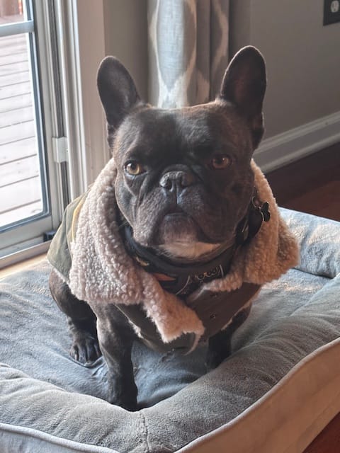Customer photo review of Workdog Insulated Utility Jacket - Green