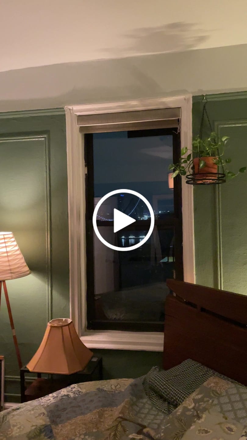 Customer video review of SmartWings Motorized Roller Shades 100% Blackout Vigor