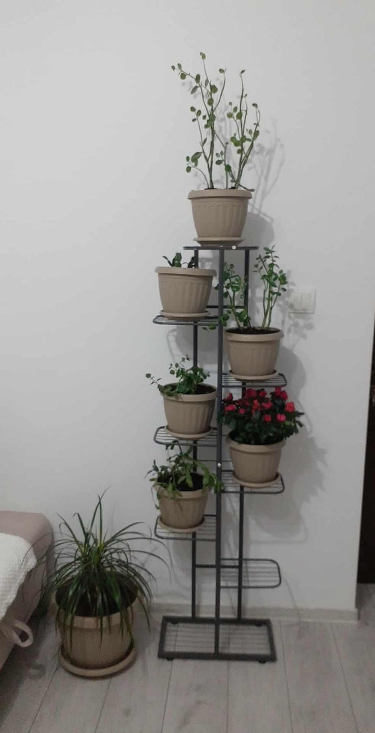 Customer photo review of Etajera BAMIR TIP 4, gri, metal, 44x22x141 cm
