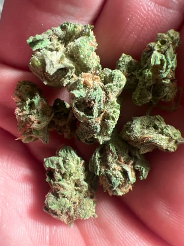 Customer photo review of Dream Queen (smalls)