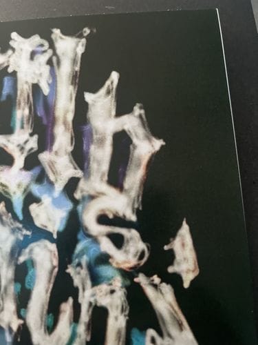 Customer photo review of Drake 'Honestly Nevermind' Poster