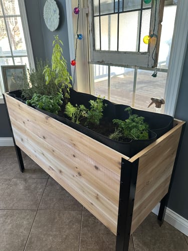Customer photo review of 18" x 48" Raised Garden Bed - 30" TALL