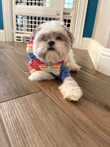 Customer photo review of Playa Poncho – Parrotfish