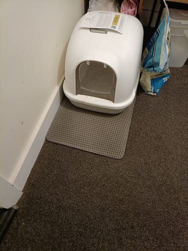 Customer photo review of Fit Litter