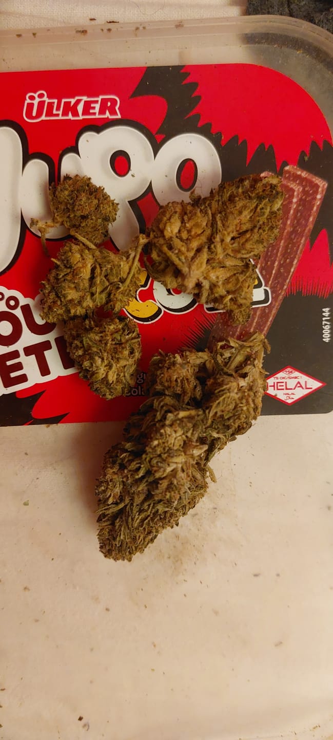 Customer photo review of 🍓 Strawberry - POWER LVL: 4.5/5