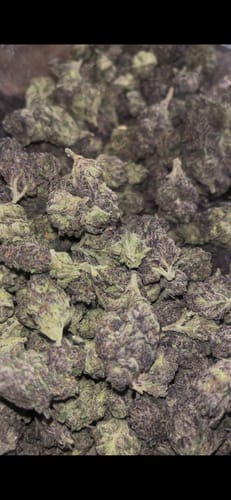 Customer photo review of White Rhino THCA Flower