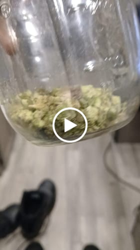 Customer video review of Indoor Smalls