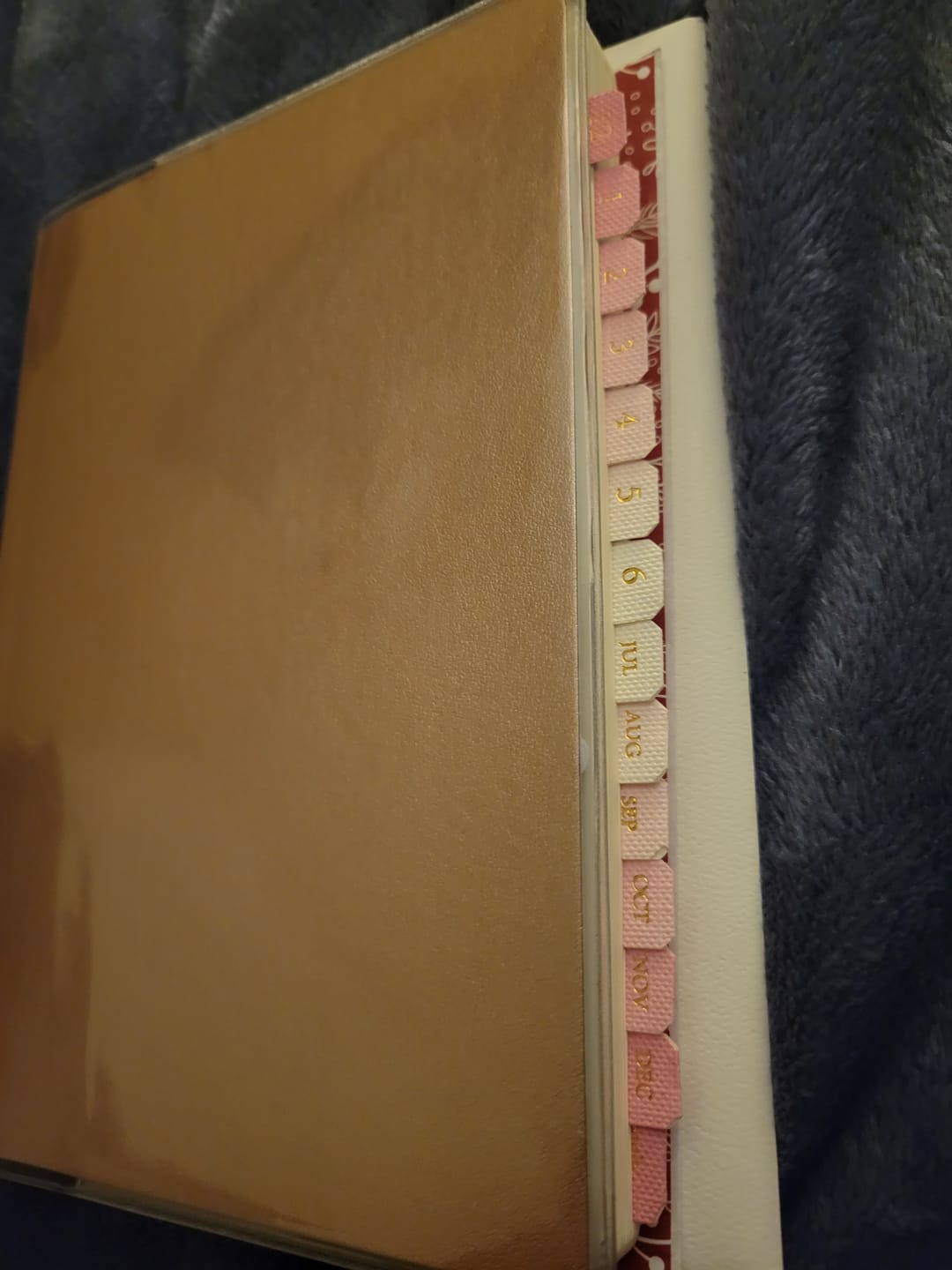 Customer photo review of Monthly Index Tabs