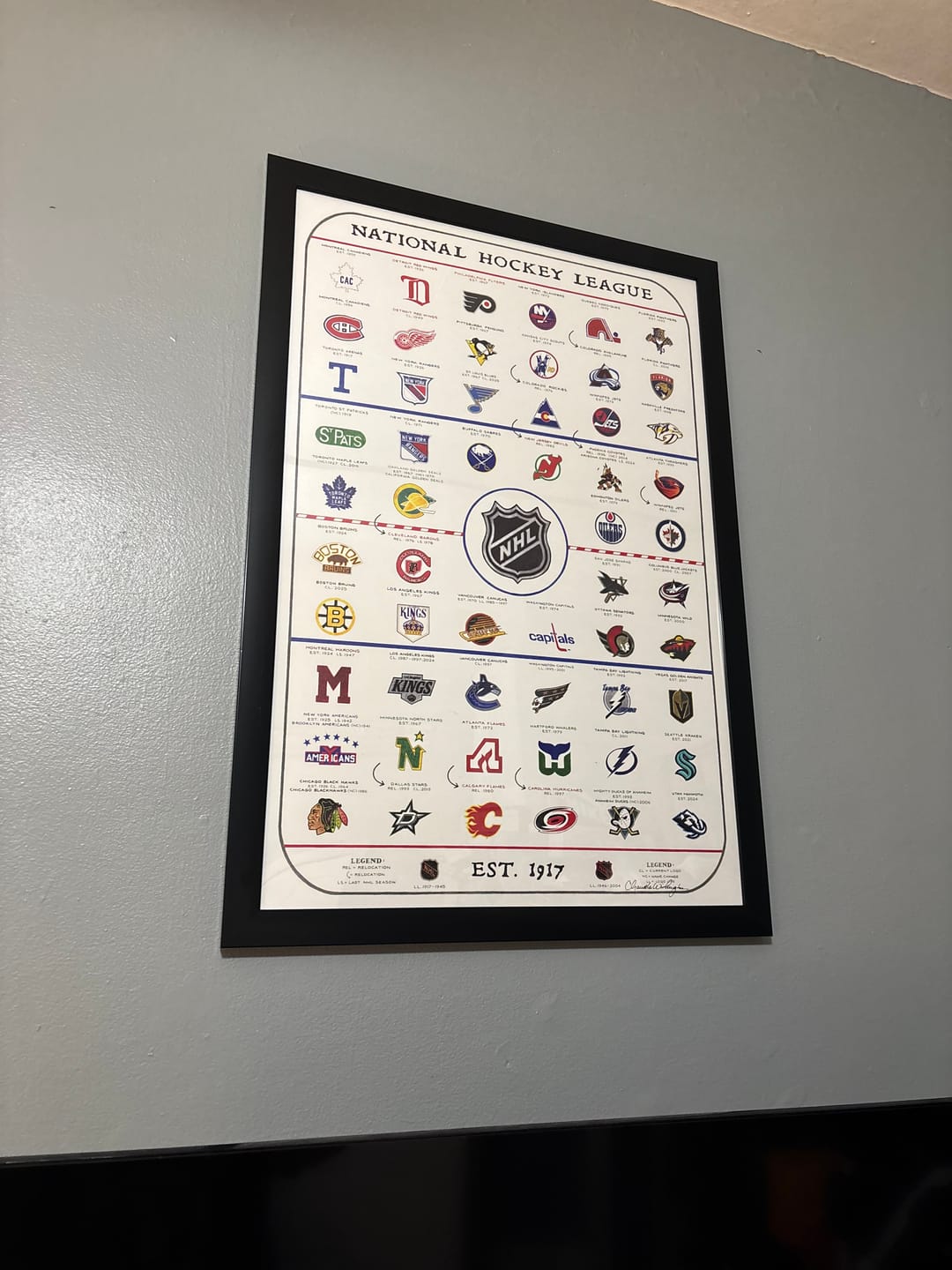 Customer photo review of The Evolution of the NHL (2025 Edition)