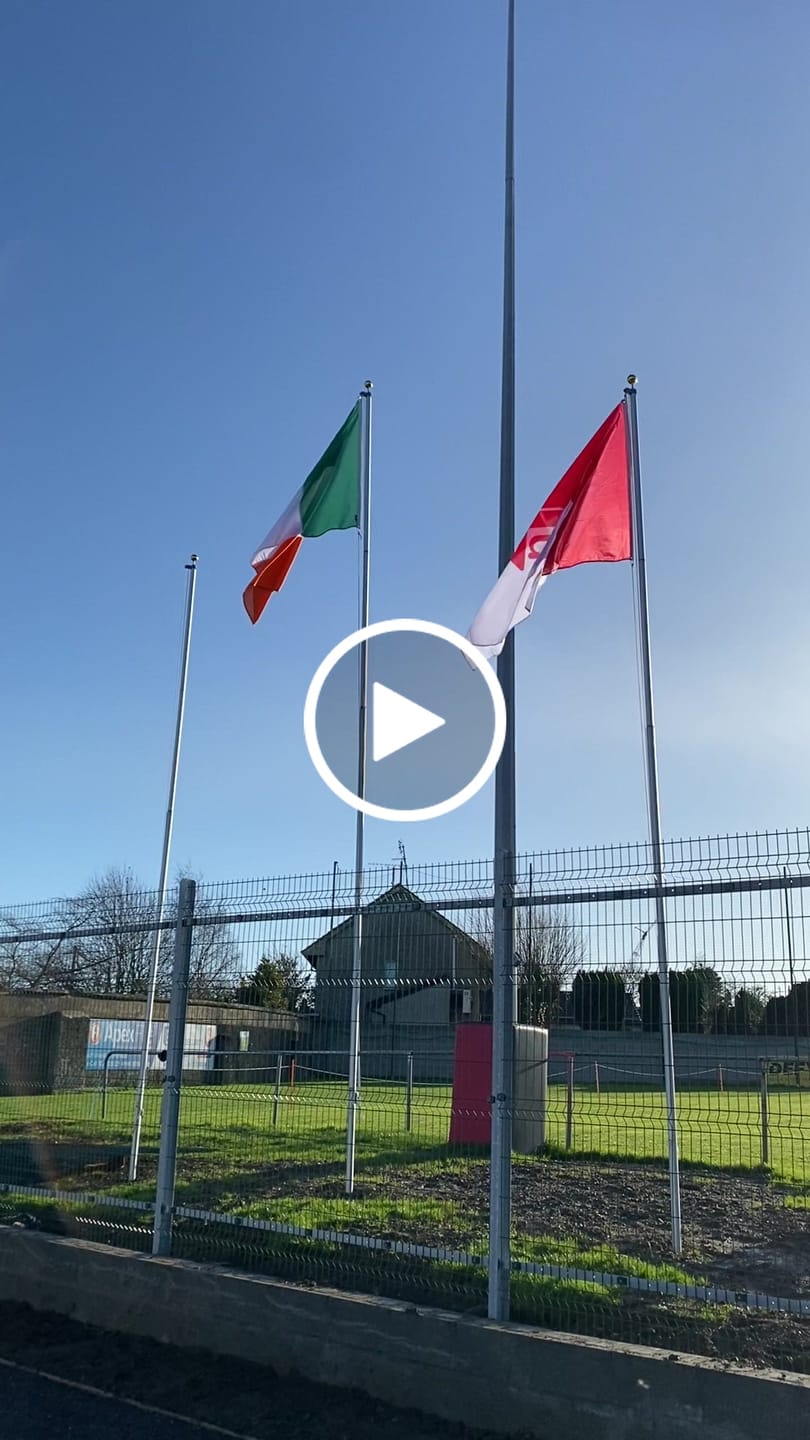 Customer video review of Ireland National Flag