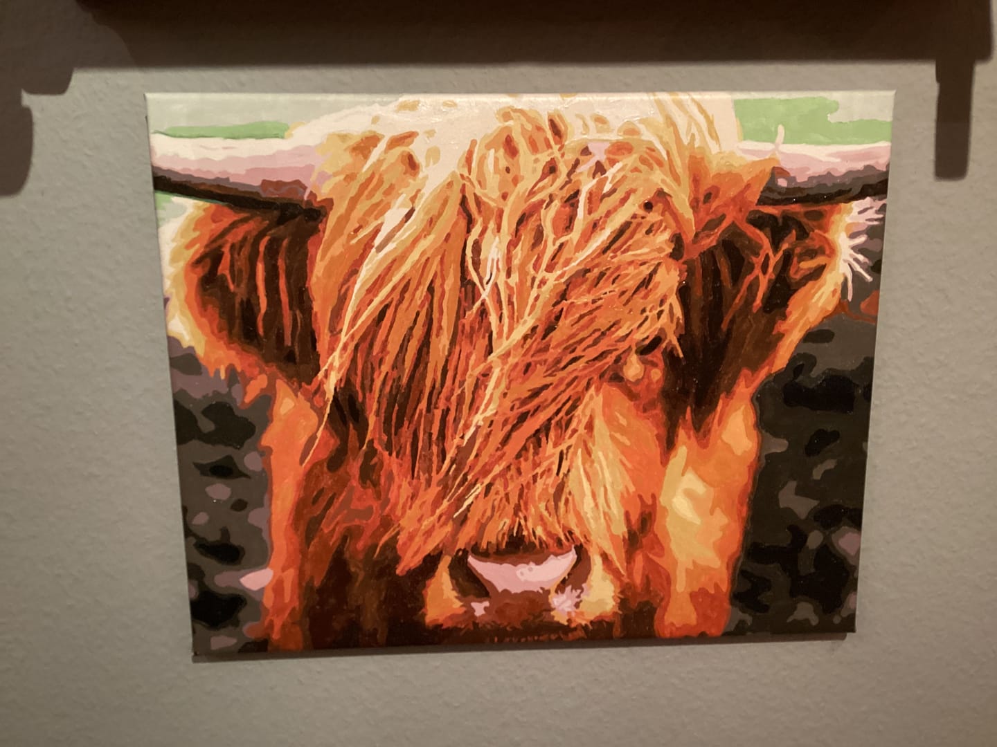 Customer photo review of Malen nach Zahlen - Schottisches Hochlandrind