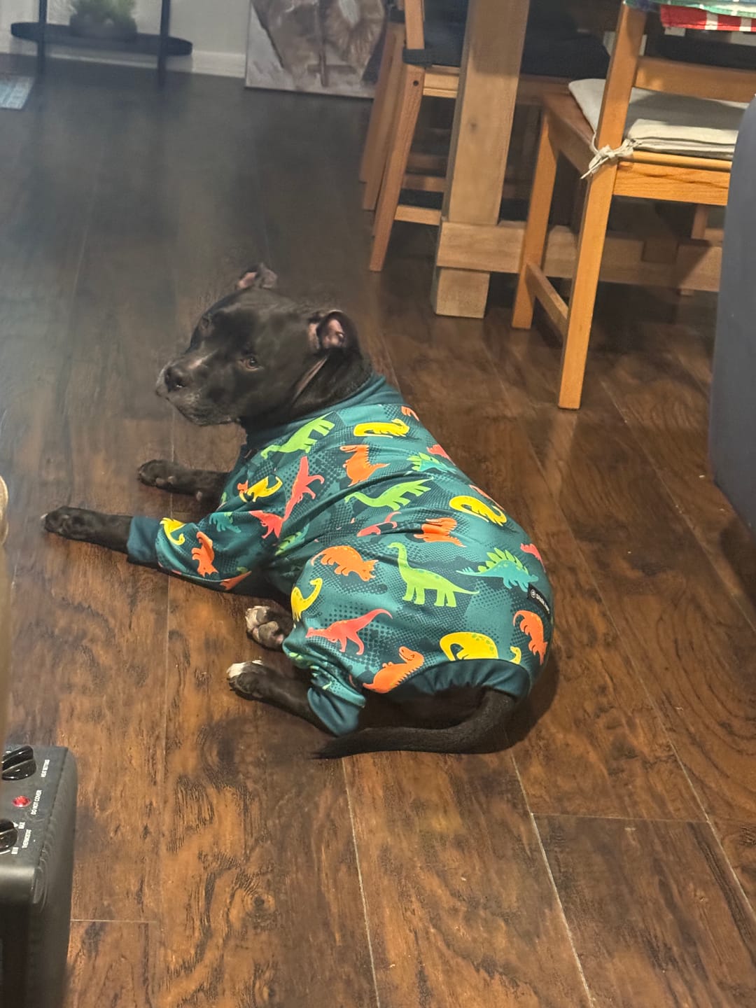 Customer photo review of Dog Pajama - Dinosaurs