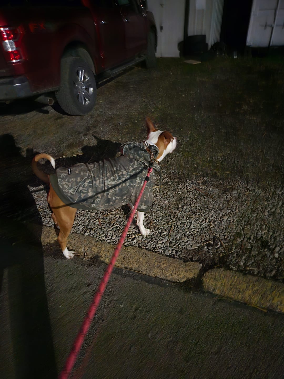 Customer photo review of Concrete Wood Dog Hoodie - Timber