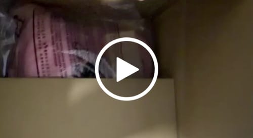 Customer video review of 9TWENTY Chicago White Sox New Era x MLB x BLACKPINK Pink Adjustable