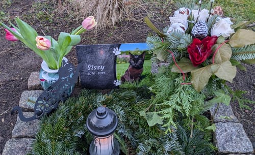 Customer photo review of Katzen Gedenktafel mit Foto & Spruch (UV- & Wetterfest)