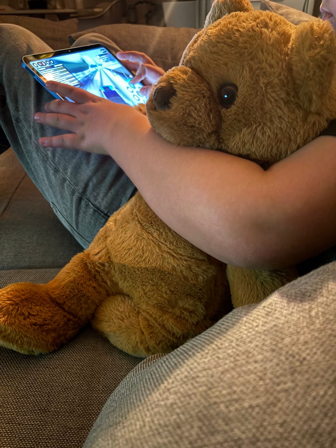 Customer photo review of (pre-order) Verzwaringsknuffel Beer 2,2 kg + Gratis Pittenzakje