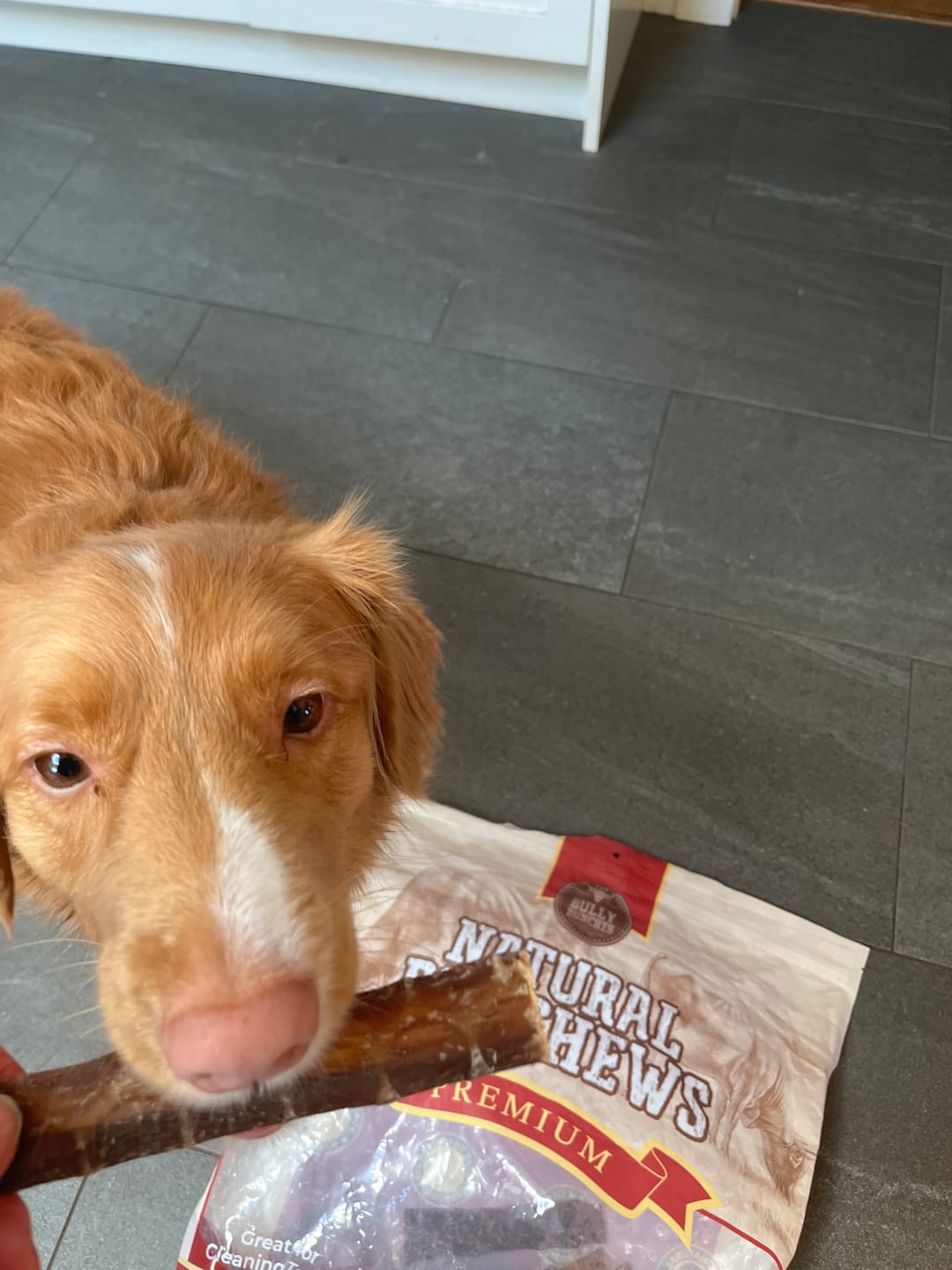 Customer photo review of 6 Inch Beef Jerky Strip