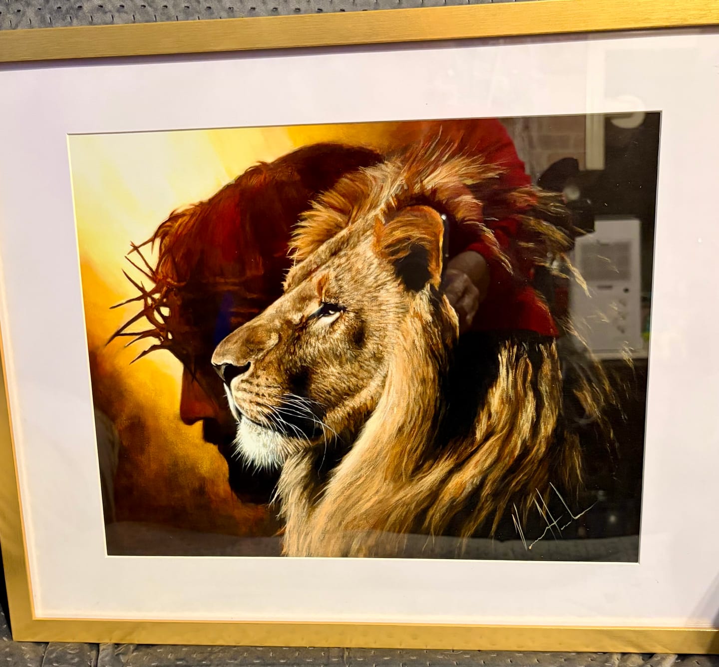 Customer photo review of The Lion of Judah