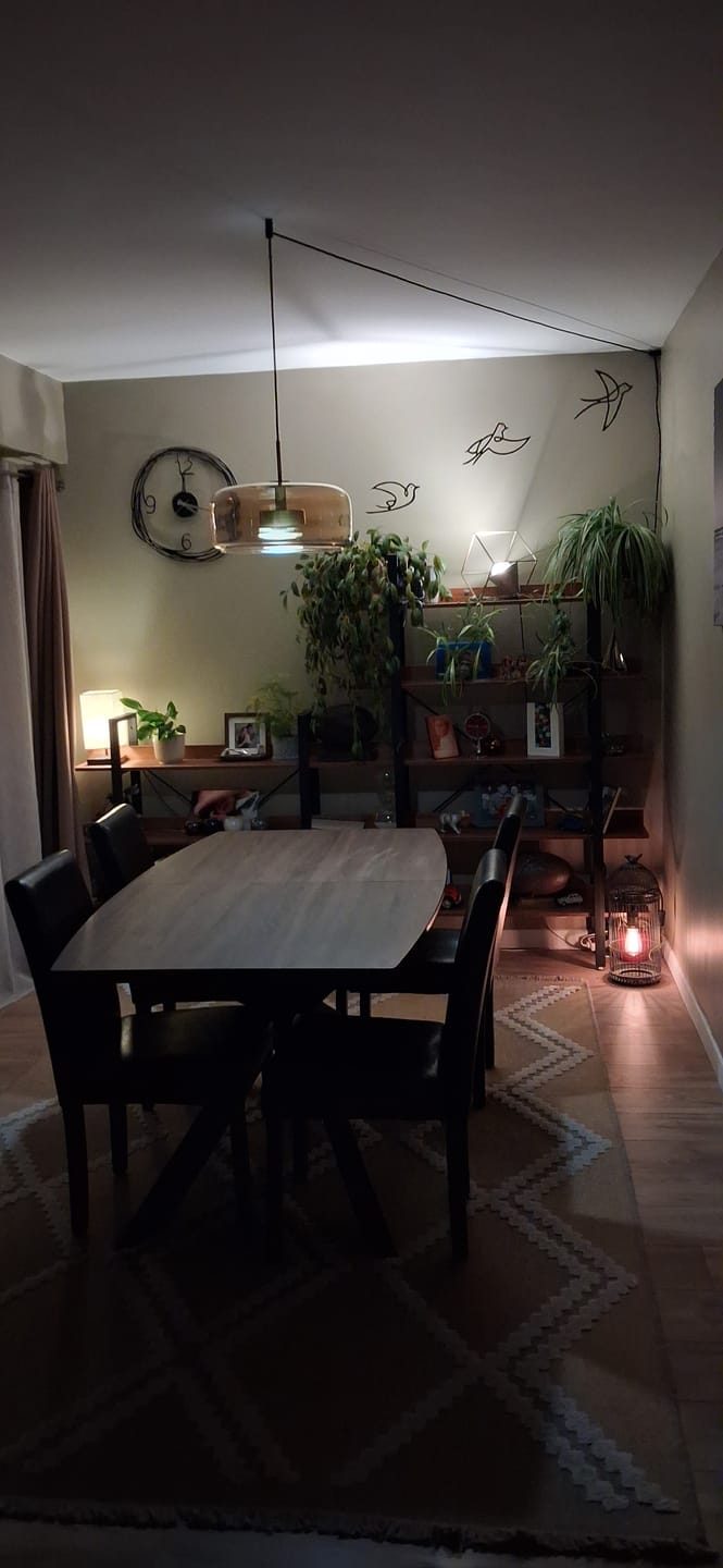 Customer photo review of Suspension moderne en verre teinté NOVA | 1 Suspension