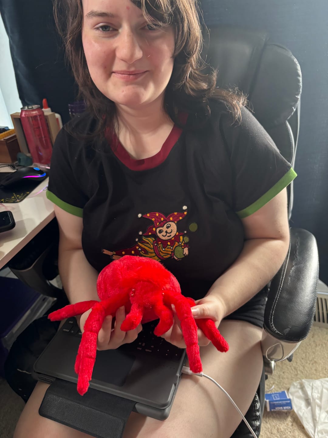 Customer photo review of Red Velvet Mite Soft Stuffed Plush Toy