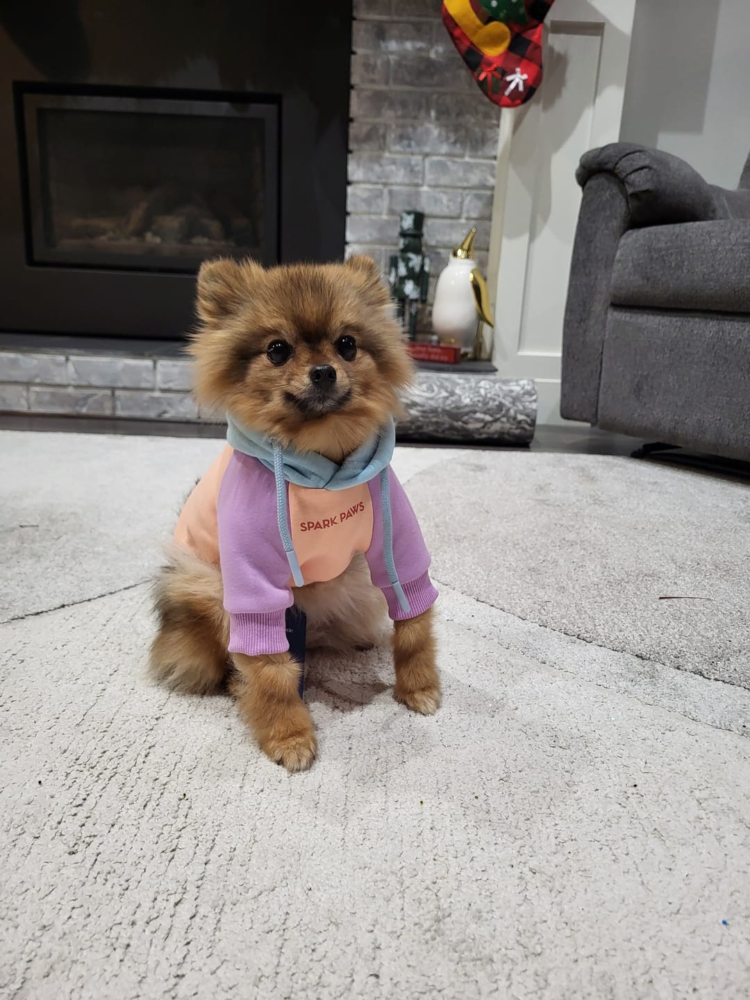 Customer photo review of Cotton Candy Human Hoodie