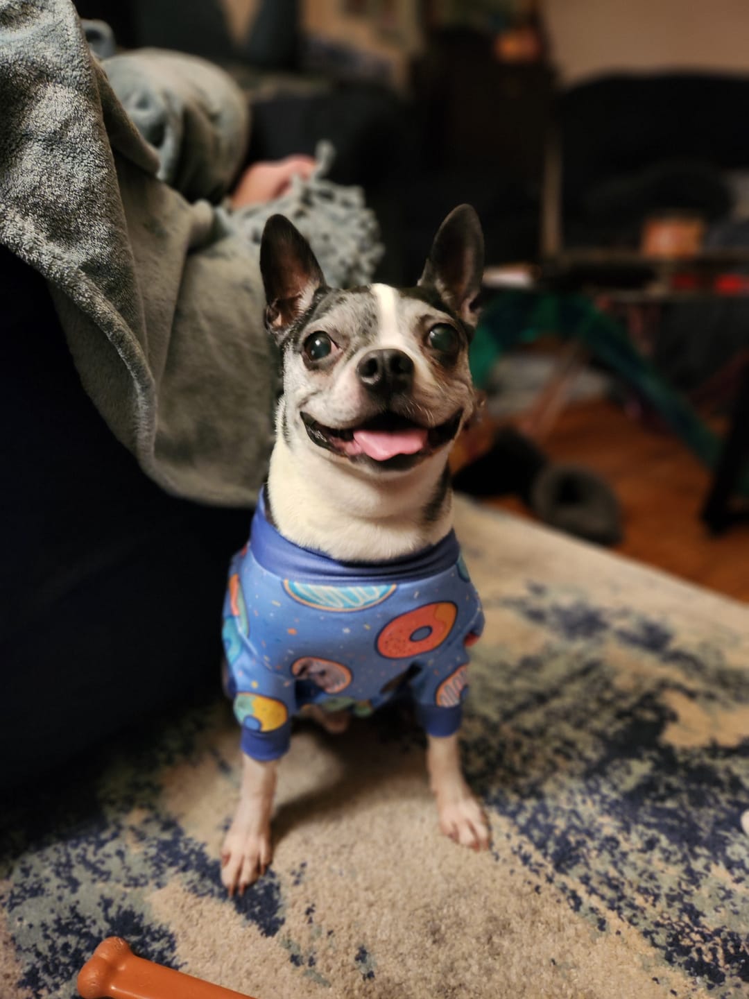 Customer photo review of Dog Pajama Prints