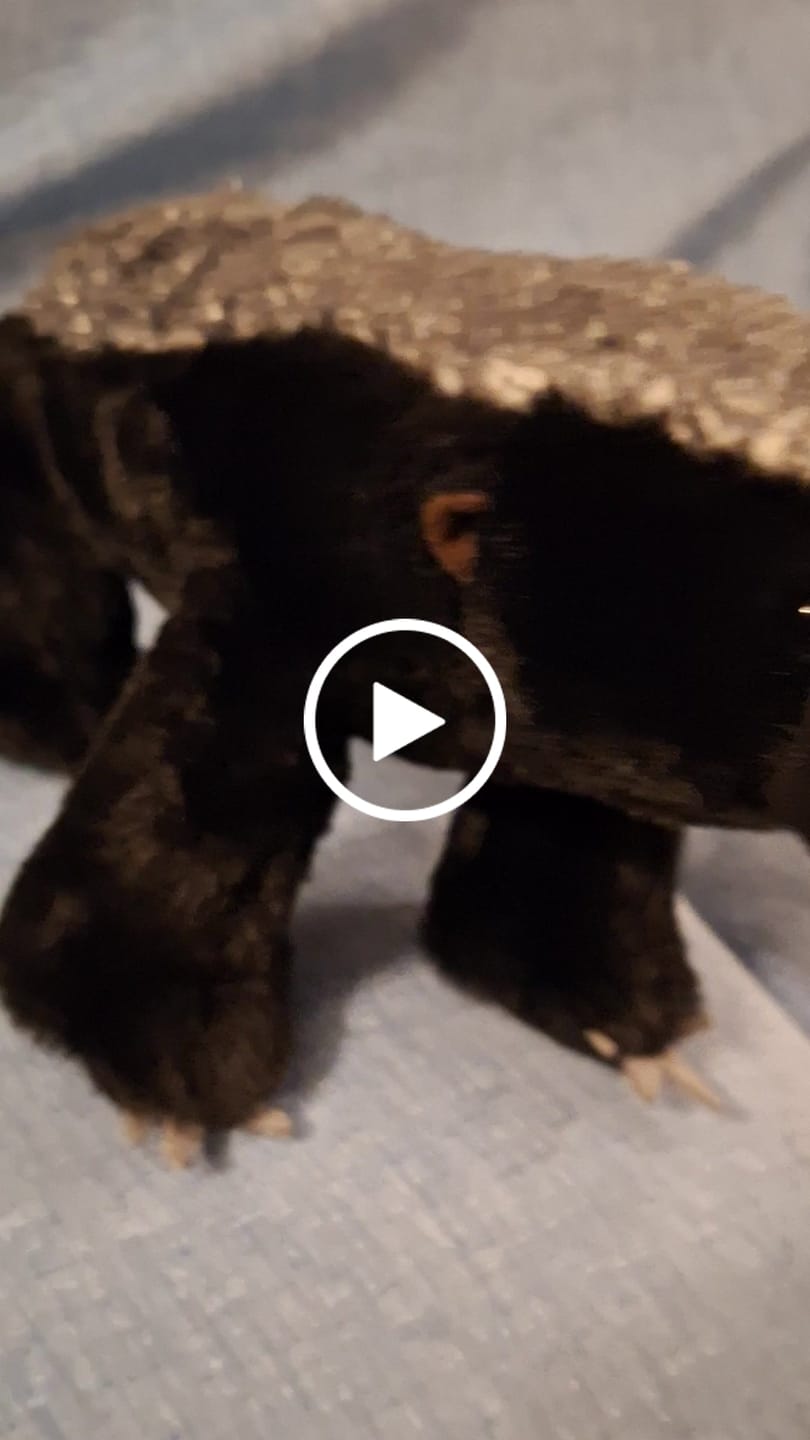 Customer video review of Honey Badger Soft Stuffed Plush Toy