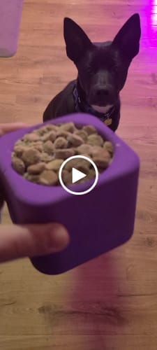 Customer photo review of Freezbox - Super Tough Treat Toy