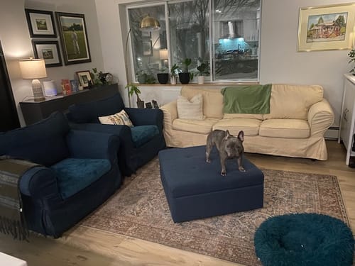 Customer photo review of Sofa Cover/Chair Cover sample, for at most 6 samples
