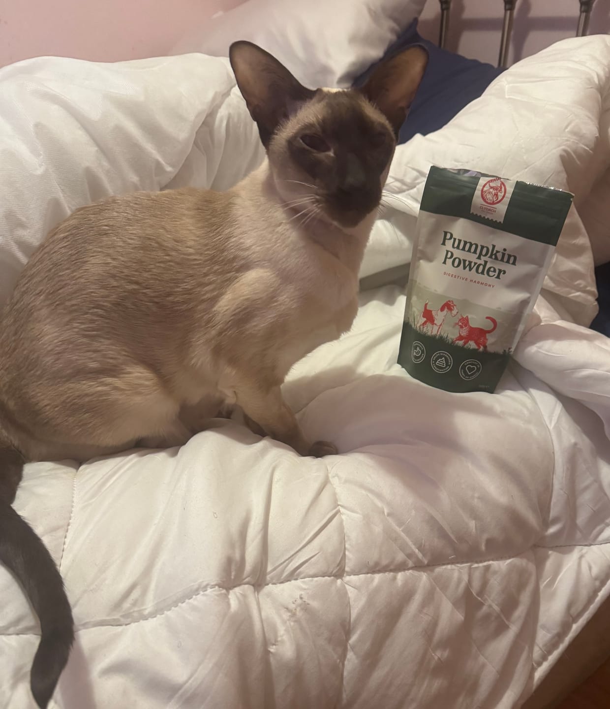 Customer photo review of Pumpkin Powder for Dogs & Cats