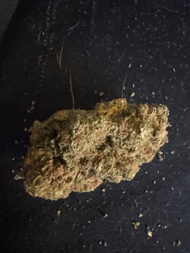 Customer photo review of Supernova THCA Flower LB