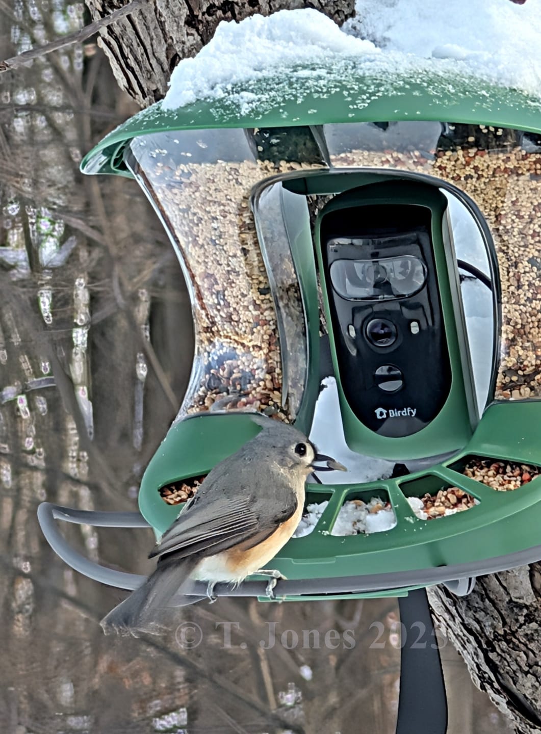 Customer photo review of Birdfy Feeder 2 Pro - Dual-Lens Smart Bird Feeder with Camera