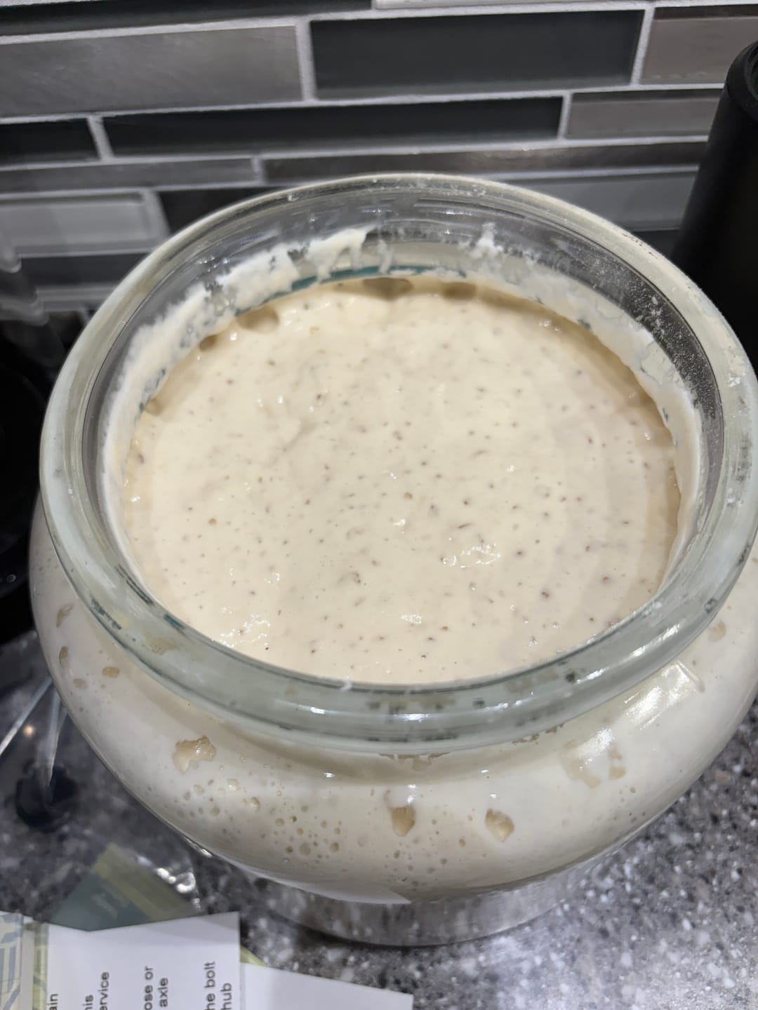 Customer photo review of Sourdough Starter Survival Guide | A Clear, Beginner-Friendly System for Feeding & Maintaining a Healthy Starter