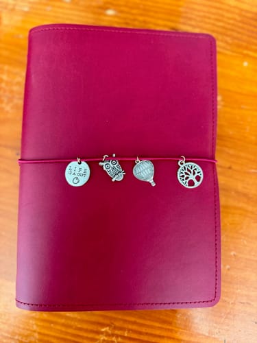 Customer photo review of Mystery Book Bag