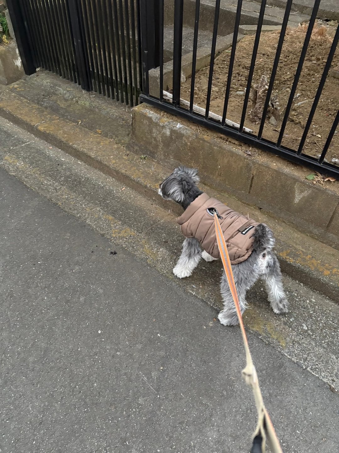Customer photo review of WarmShield Water-Resistant Jacket - Tan
