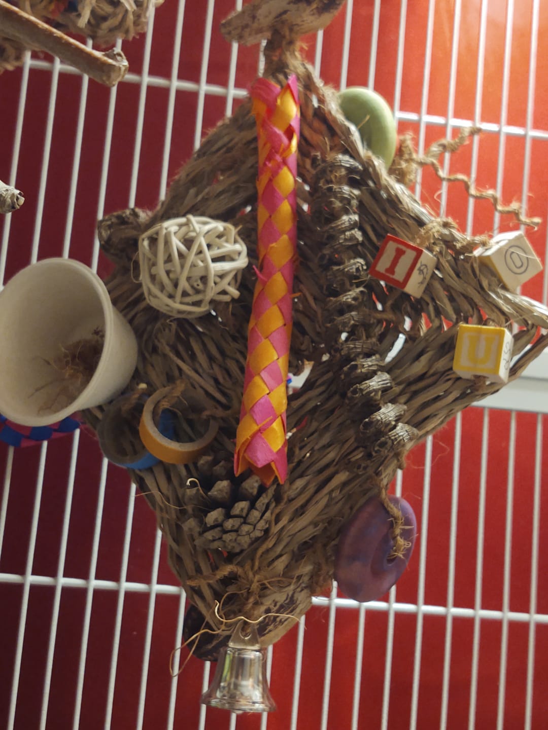 Customer photo review of Neon Bamboo Shredders - 12 Pack
