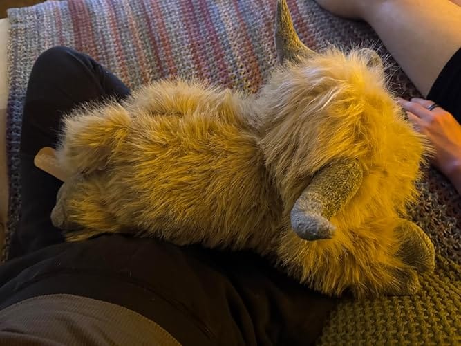 Customer photo review of Highland Cow Plush Cattle Stuffed Animals, Microwavable, Pain Stress Relief, Anxiety, Women Kid Bedtime Best Gift