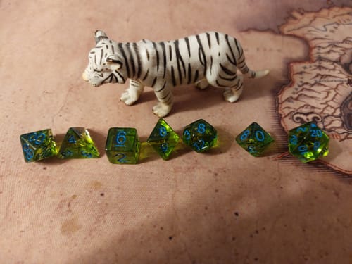 Customer photo review of Kompositbogen