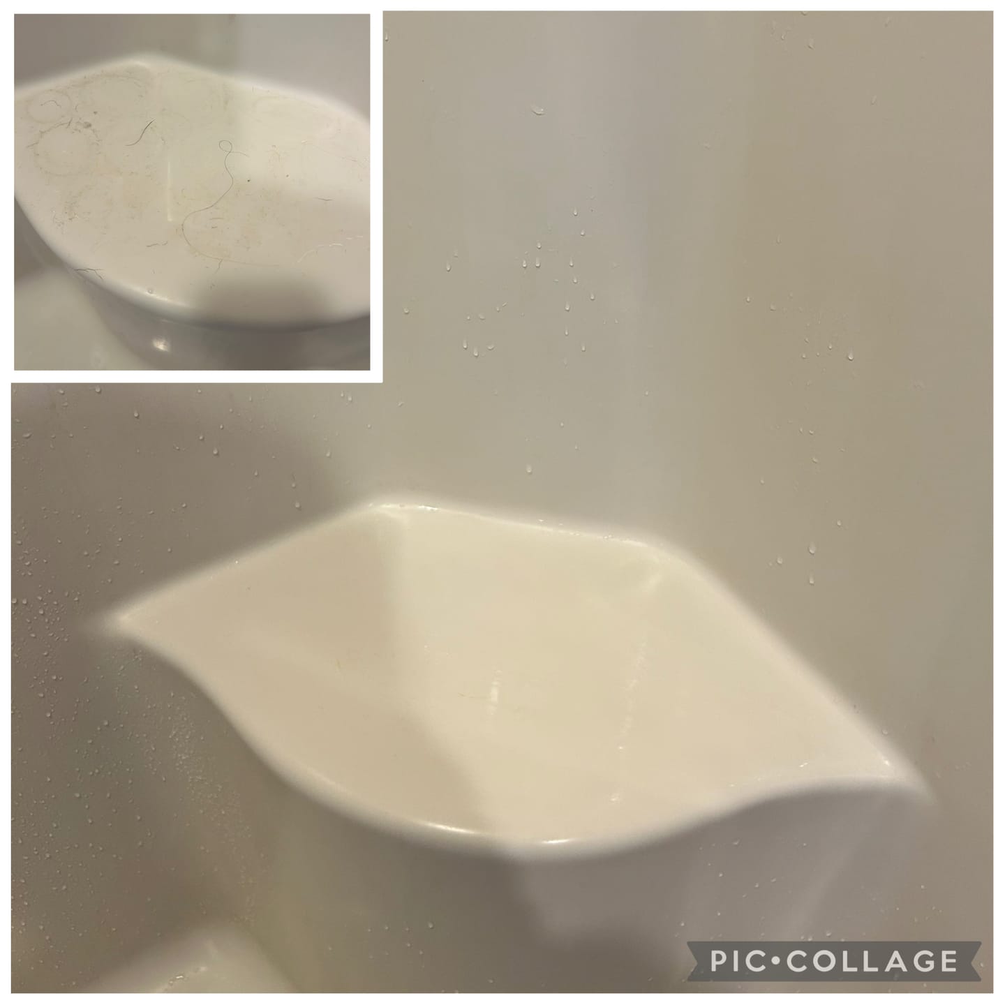 Customer photo review of Premium Starter Bundle