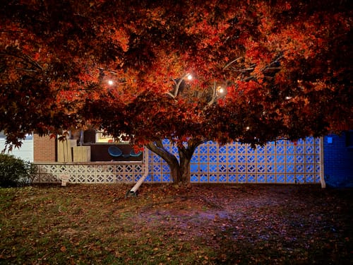 Rotary White 11 4 Breeze Block