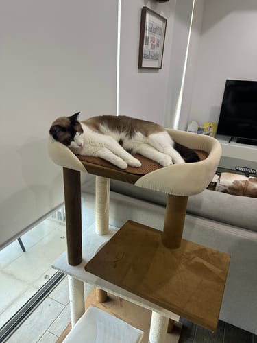 Customer photo review of Luxury Japanese-Style Cat Tree with Large Bed – 90906