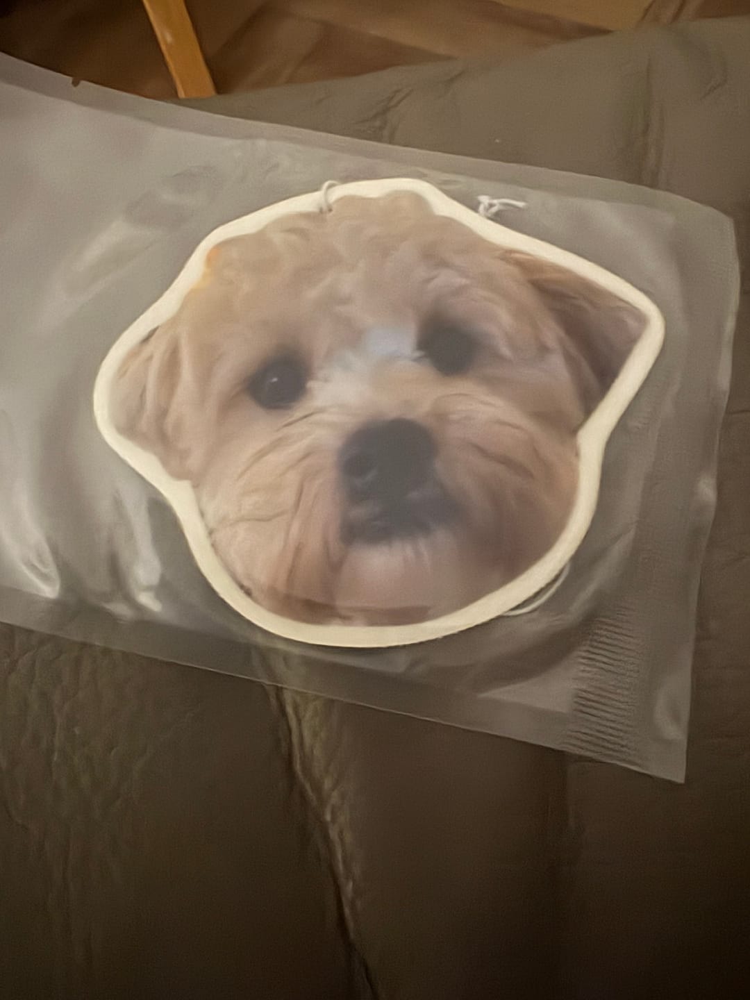 Customer photo review of Personalised Custom Car Air Freshener With Your Photo