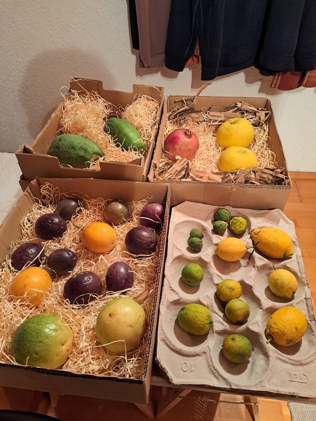 Customer photo review of "Passiflora Lovers" Maracuja-Mix Box