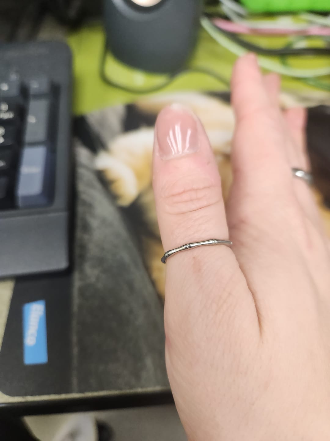 Customer photo review of Bamboo Stacker Ring (Bundle)